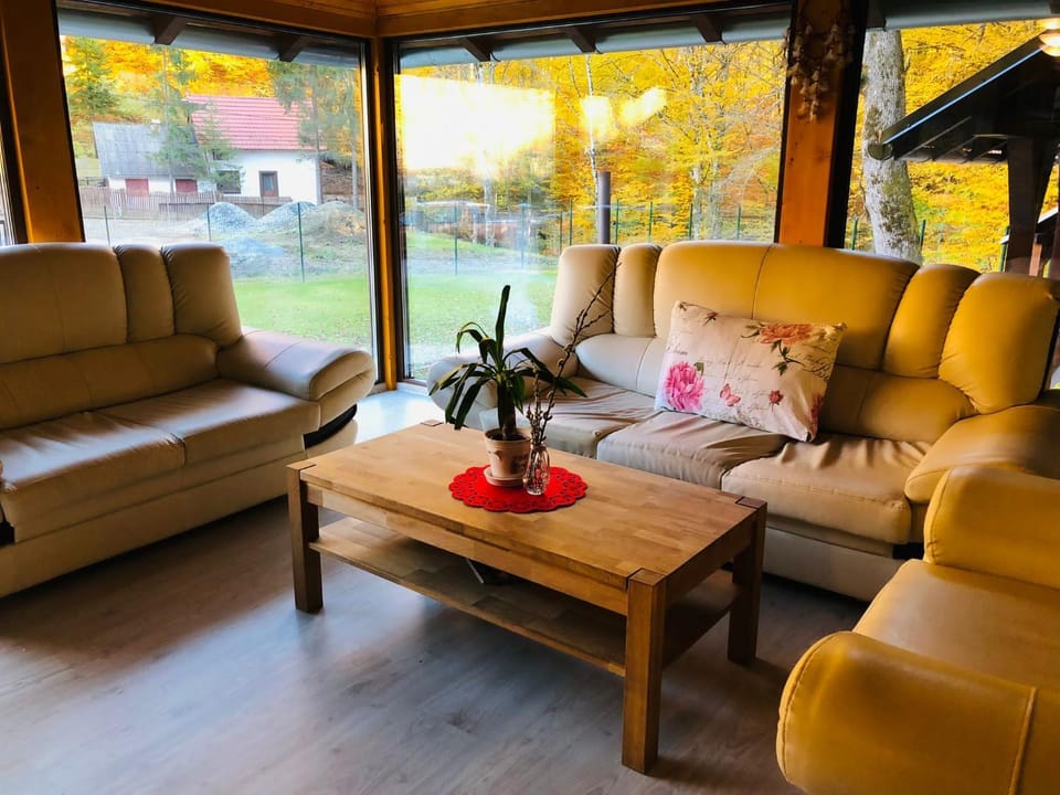 Balcony/Terrace, Living room, Garden view