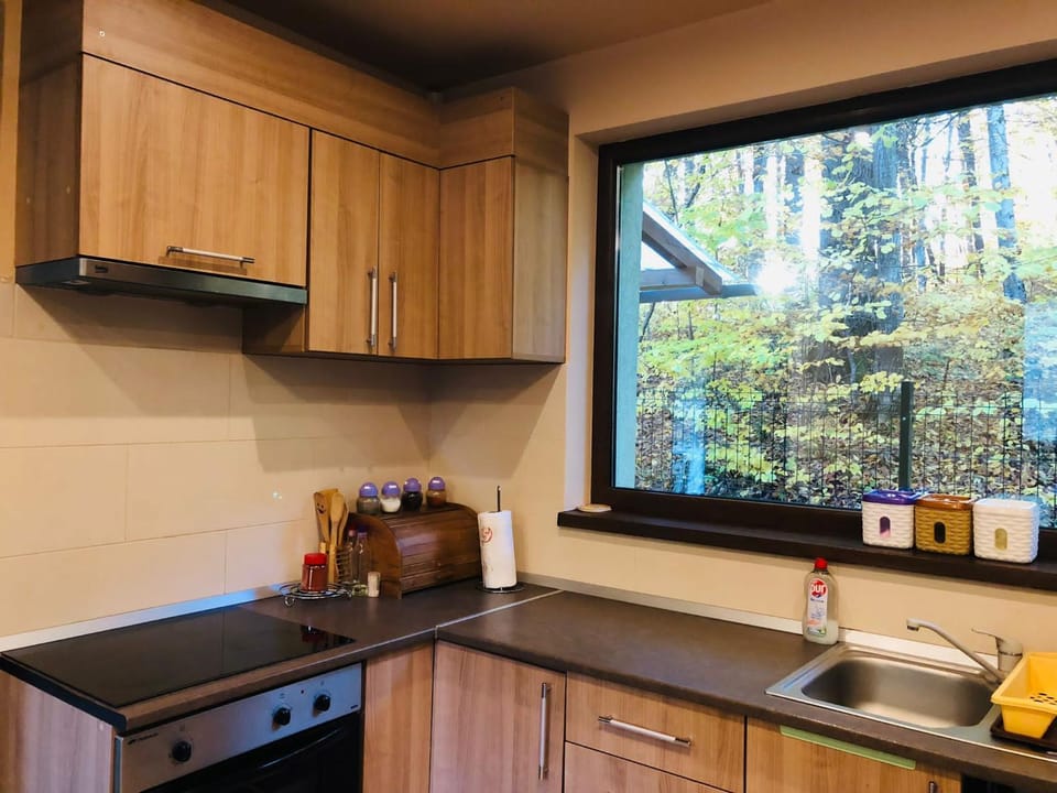 Kitchen or kitchenette, stove