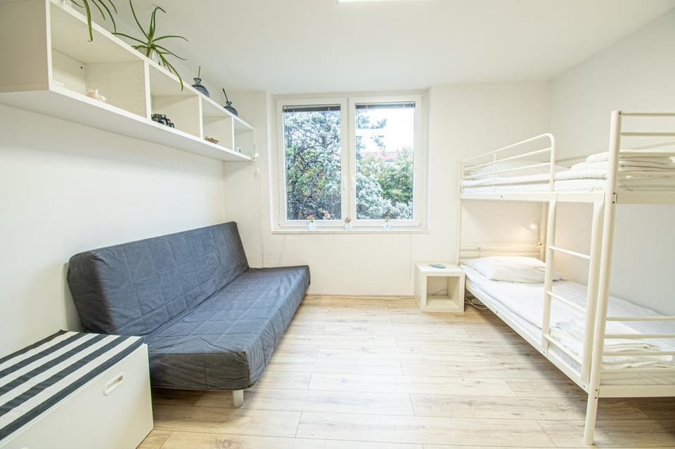 Library, Living room, Seating area