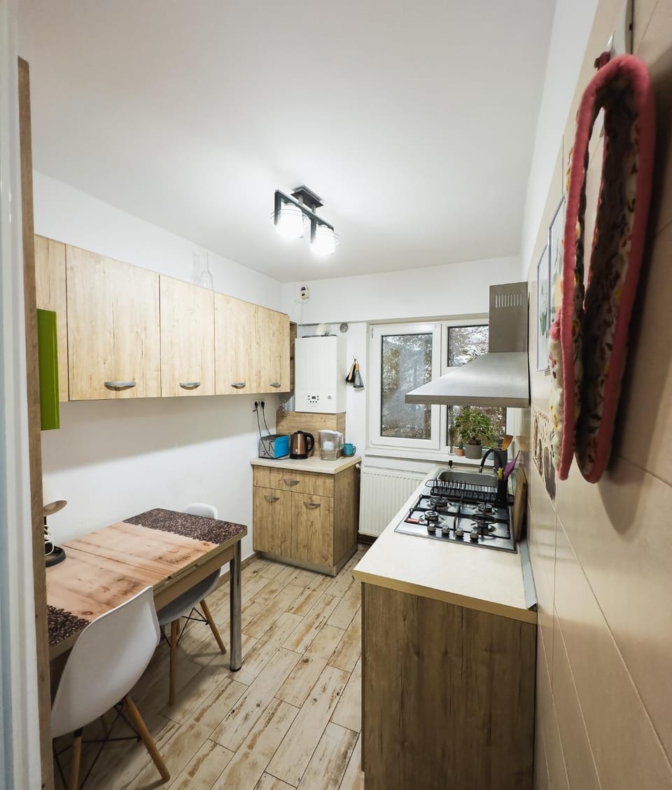 Kitchen or kitchenette, Dining area, oven, stove, kitchen