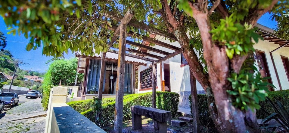 Garden, Garden view, Street view