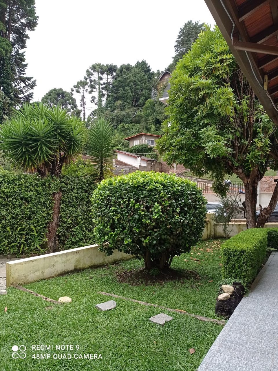 Natural landscape, Garden, Garden view
