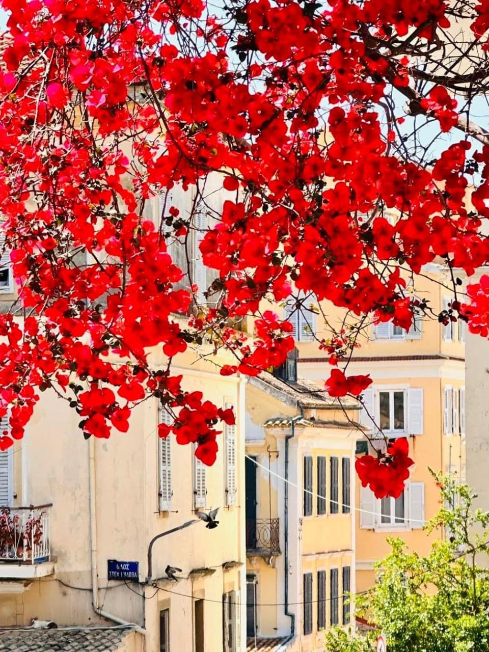 Spring