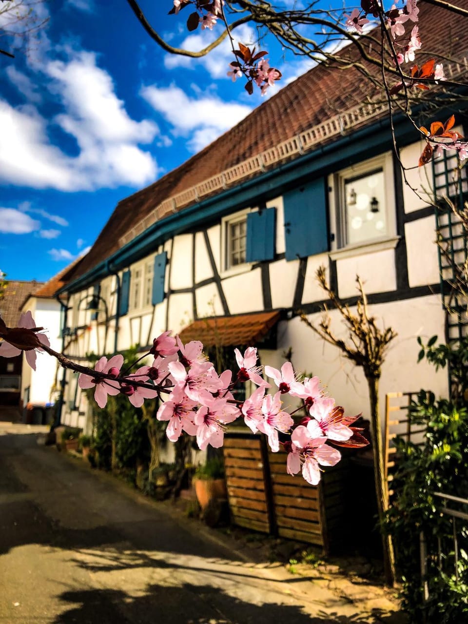 Property building, Spring, Day, Garden, Quiet street view
