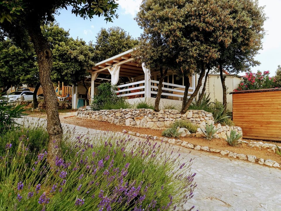Patio, Garden