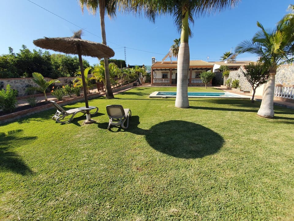 Day, Garden, Garden view, sunbed