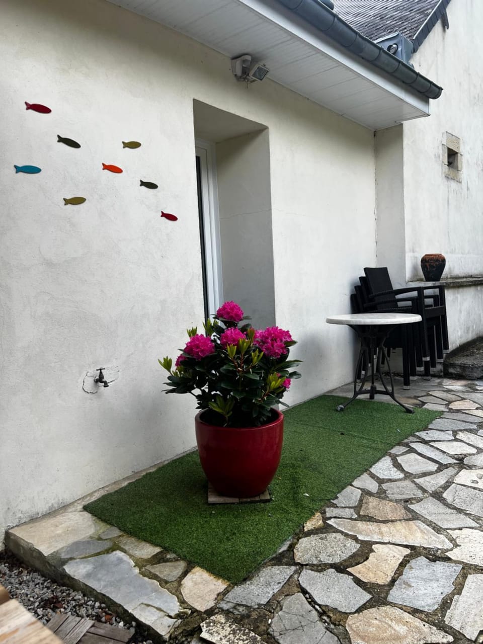 Property building, Patio, Garden