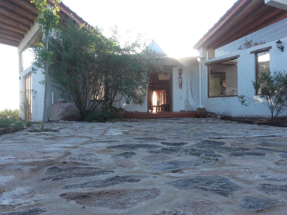 Property building, Facade/entrance, Day, Garden