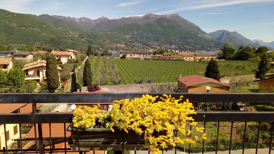 Portese la terrazza di Piero Apartment in Lake Garda