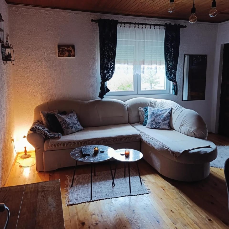 Konak Pahulja TARA House in Zlatibor District, Serbia