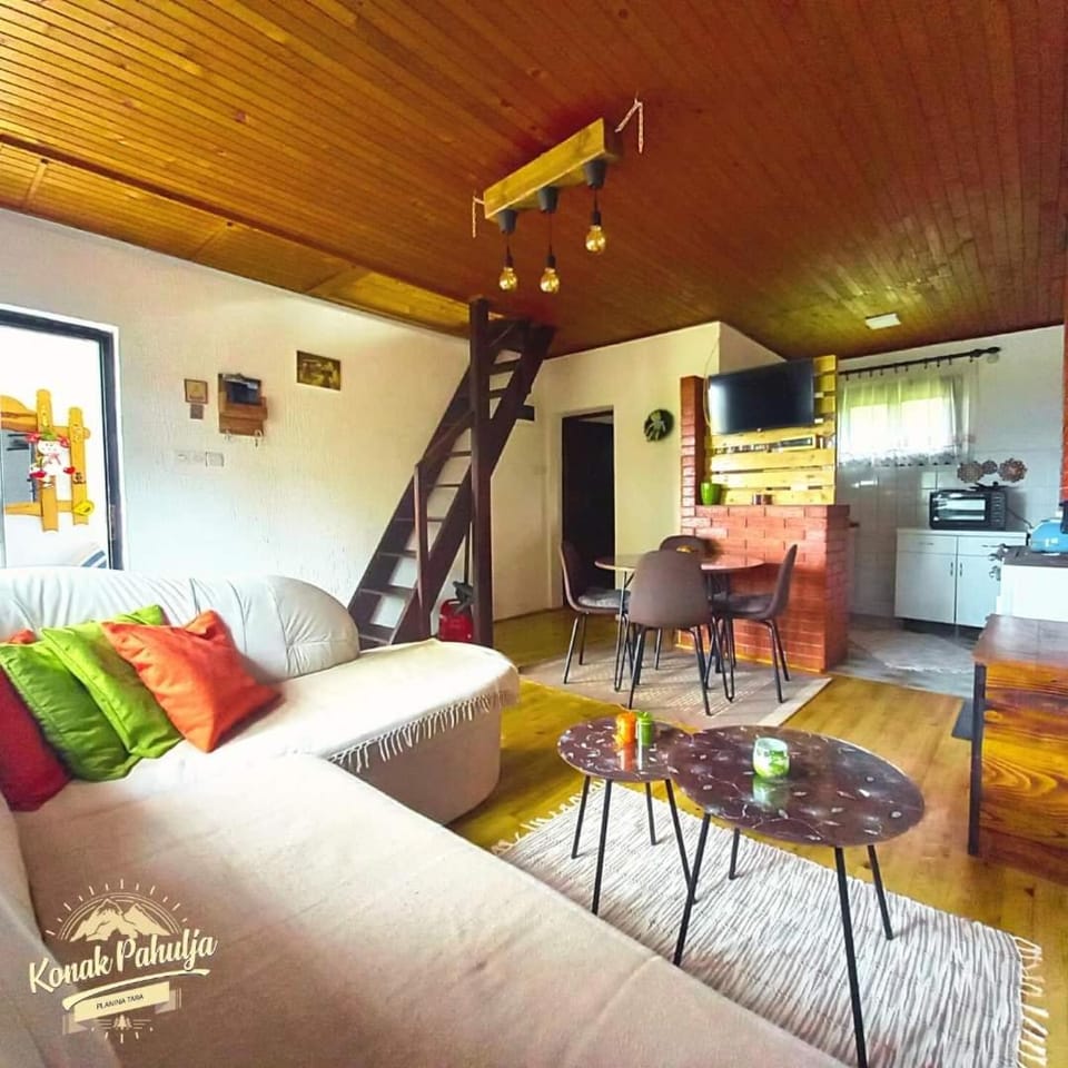 Konak Pahulja TARA House in Zlatibor District, Serbia