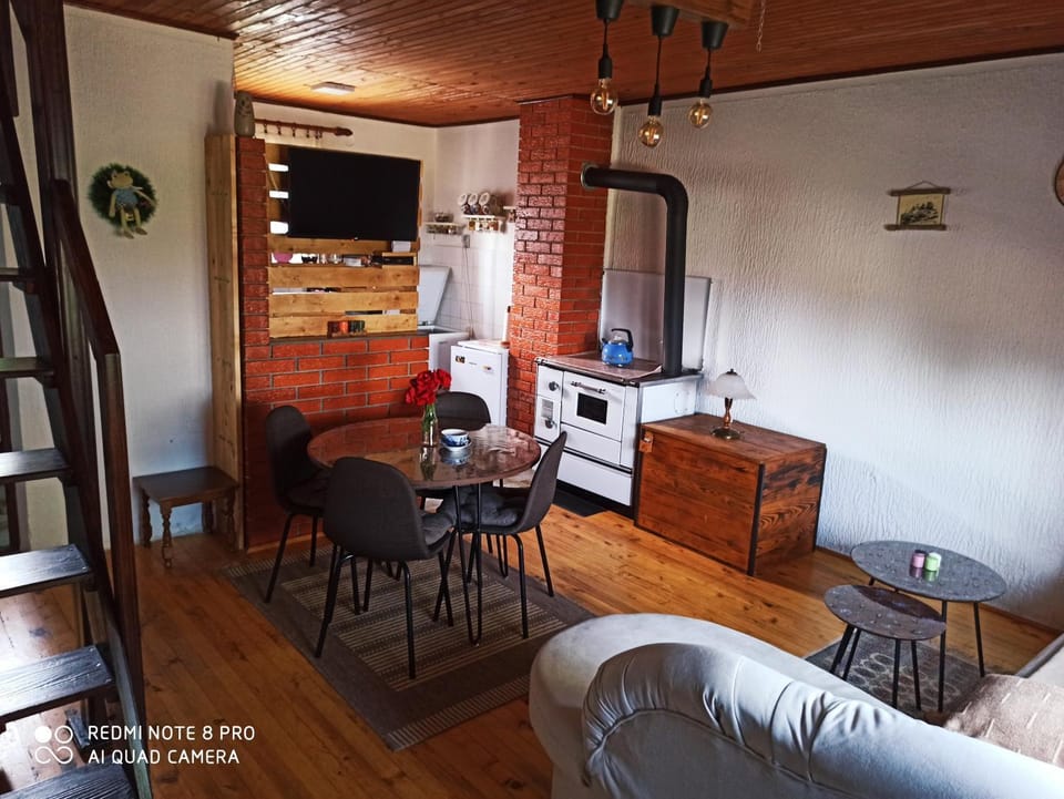 Konak Pahulja TARA House in Zlatibor District, Serbia