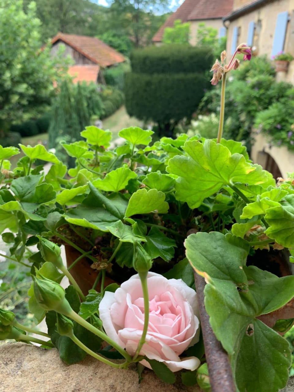 Garden, Garden view