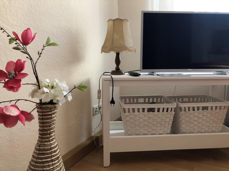 TV and multimedia, Living room, Photo of the whole room, Decorative detail