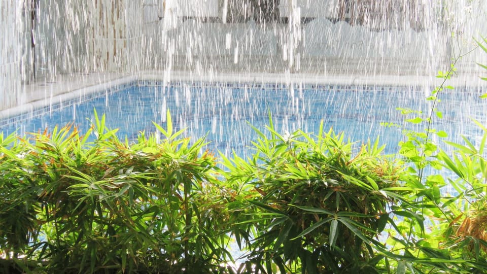 Garden, Pool view, Swimming pool