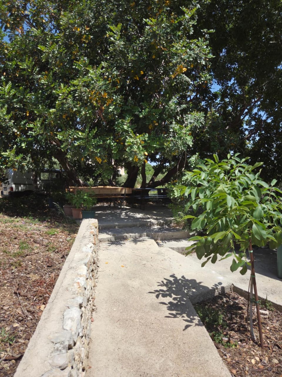 Spring, Garden, Garden view