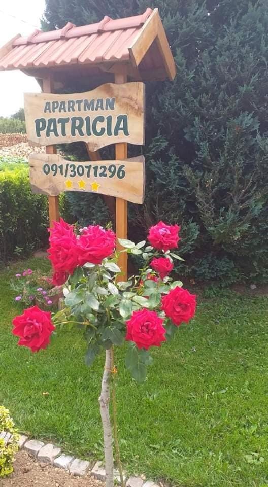 Apartman Patricia Apartment in Primorje-Gorski Kotar County