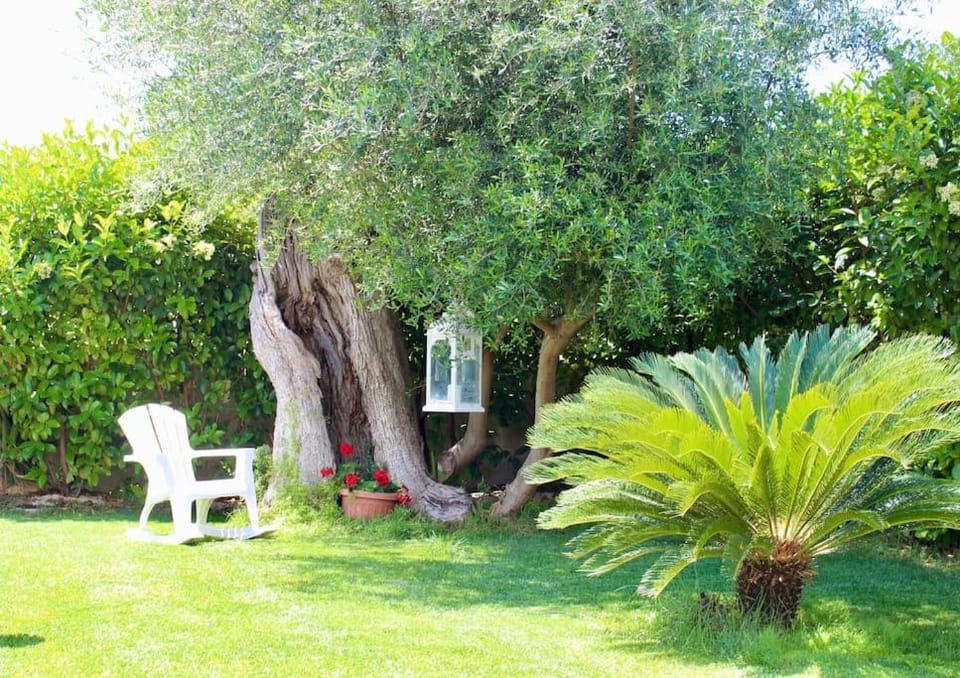 Villa Marea - Relax & Pool Villa in Apulia