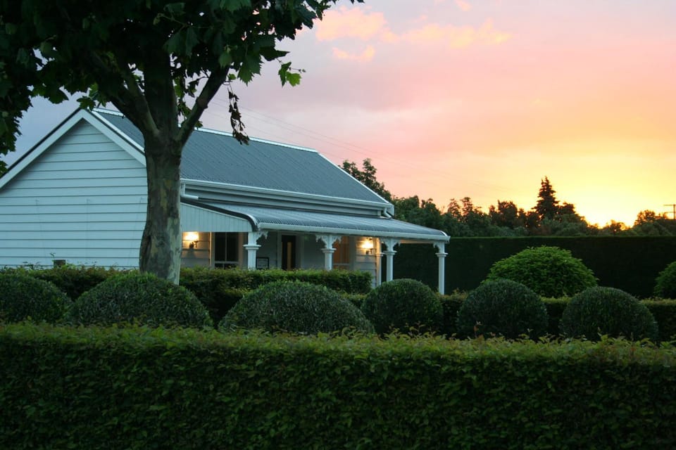 Bird's eye view, Garden, Sunset