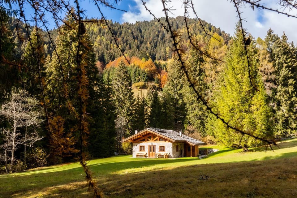 Property building, Natural landscape, Garden