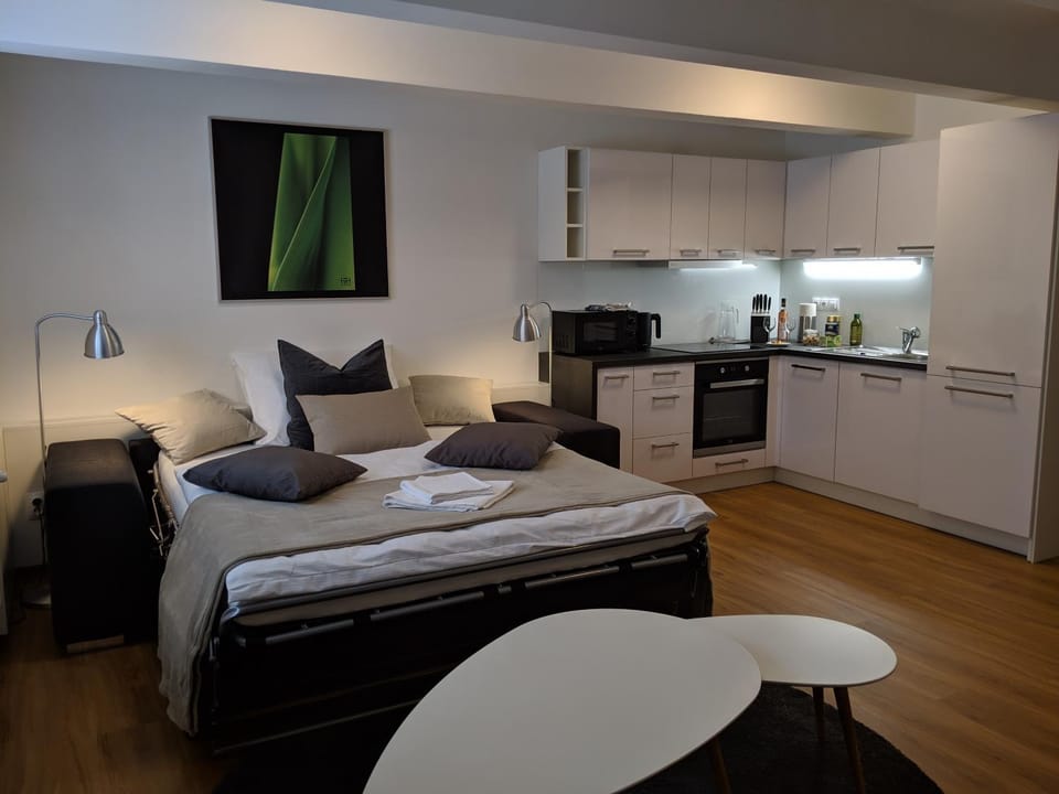 Bed, Kitchen or kitchenette, Living room, Photo of the whole room, stove