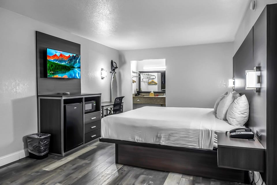 Bed, Photo of the whole room, Bedroom