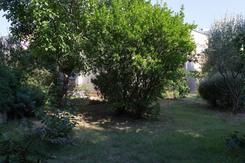 Garden, Garden