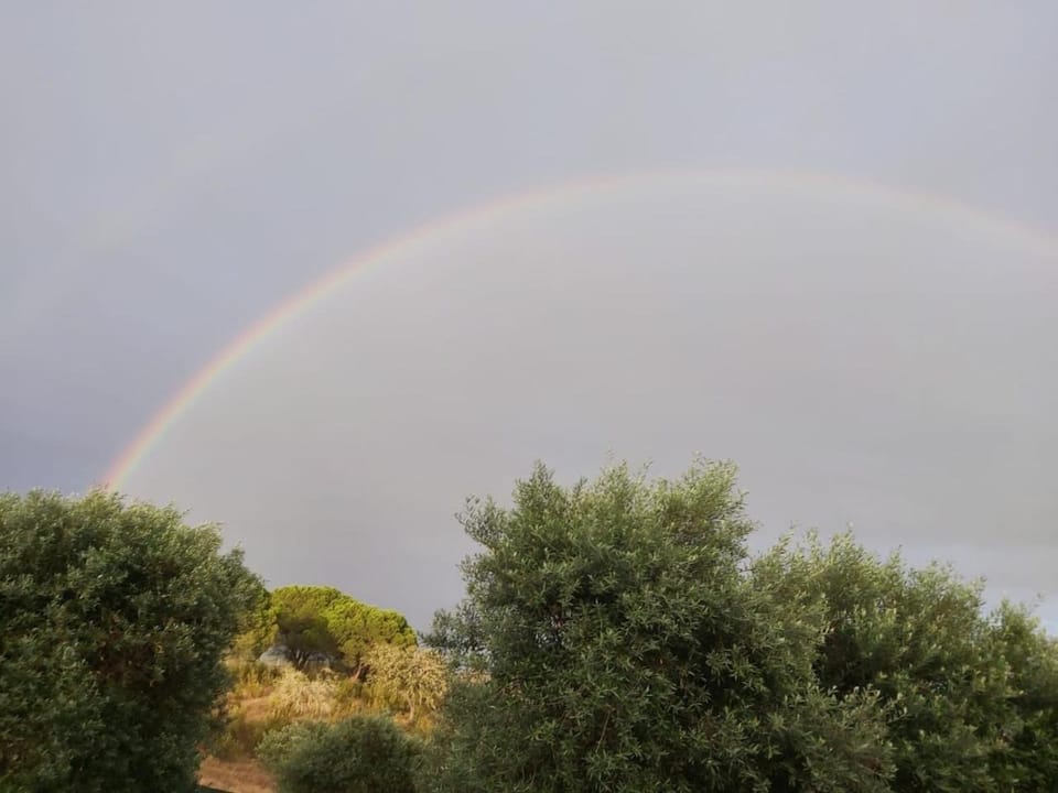 MONTE ANNA Bed and Breakfast in Portugal