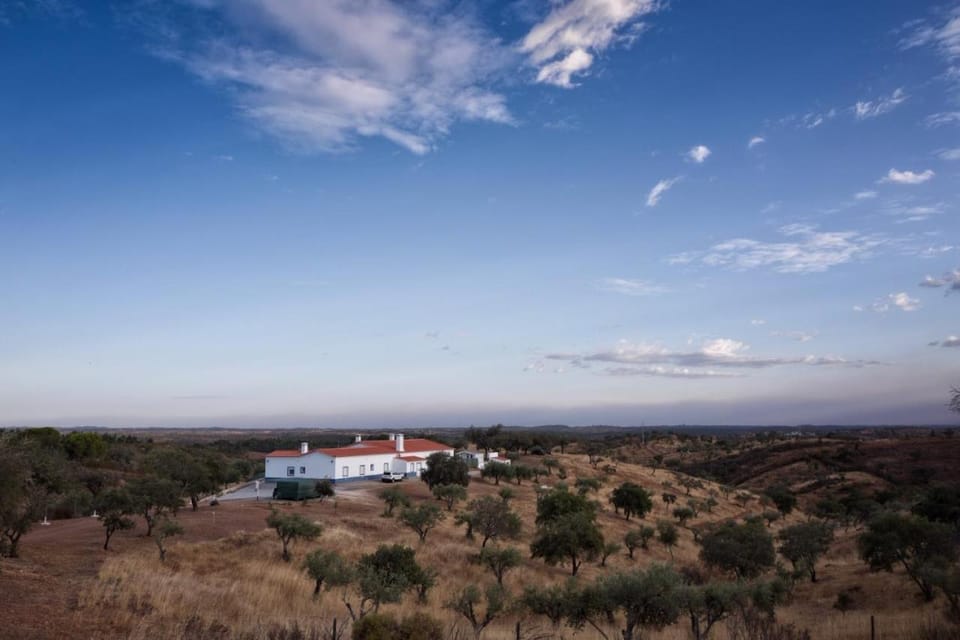 Natural landscape
