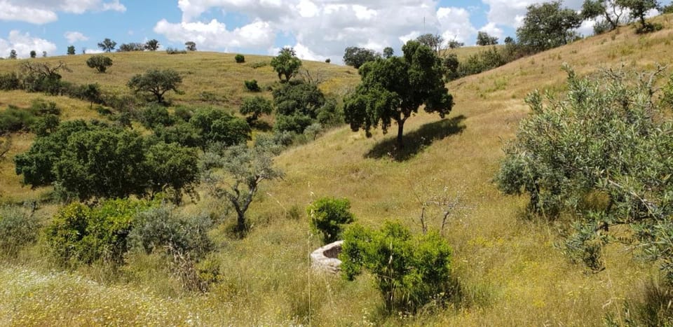 MONTE ANNA Bed and Breakfast in Portugal