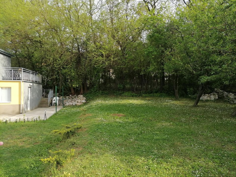 Inner courtyard view