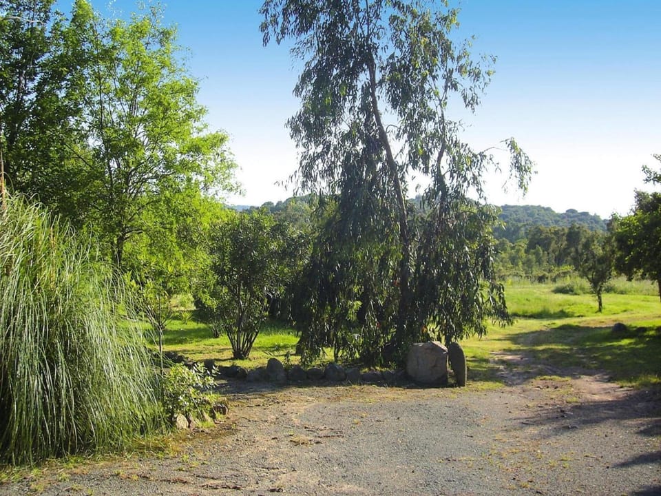 Neighbourhood, Garden