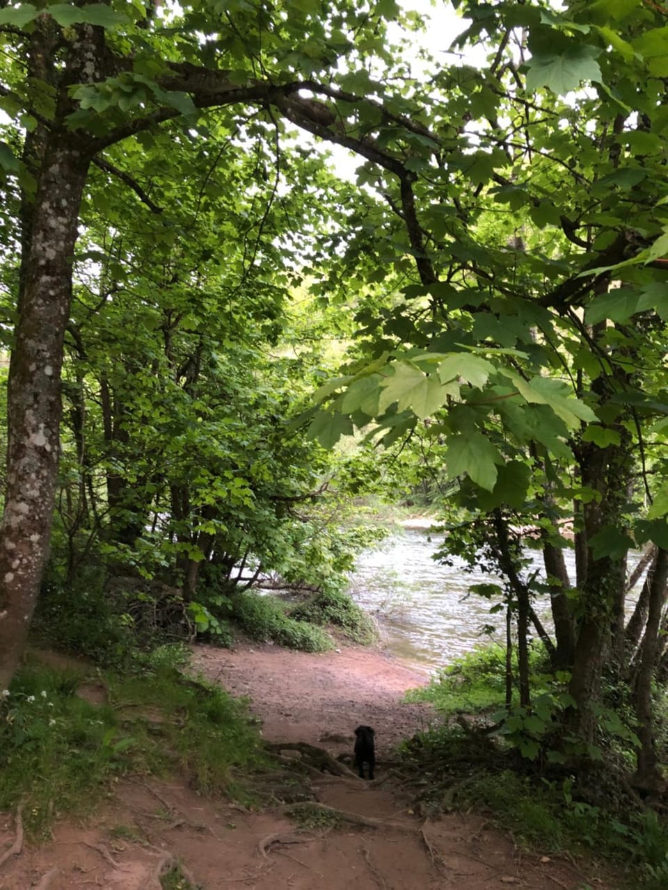 Symonds Yat - Herefordshire property with stunning views House in Forest of Dean