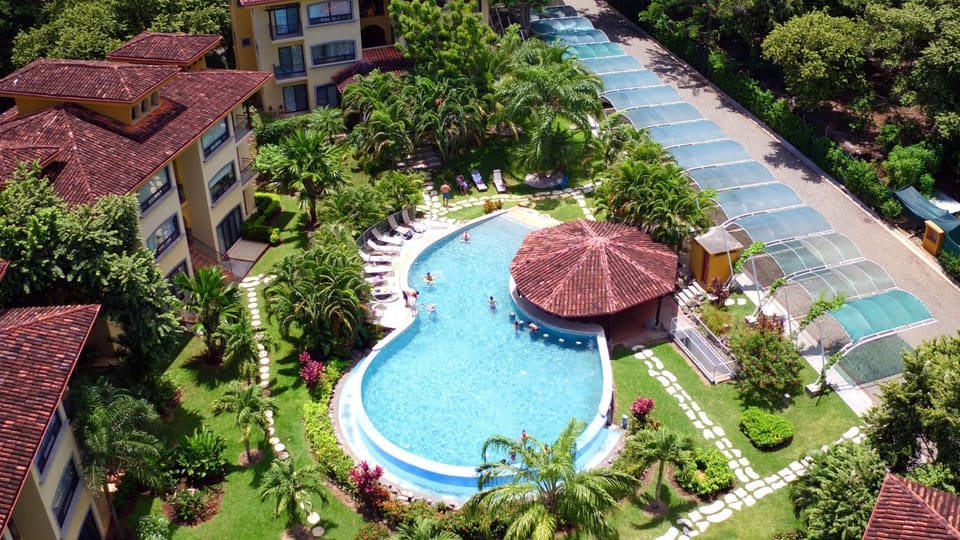 Garden, Pool view, Swimming pool