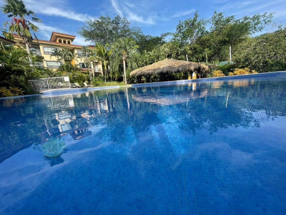 Day, Pool view, Swimming pool