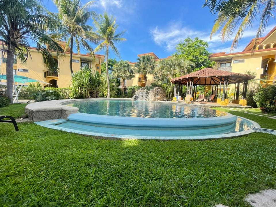 Garden, Garden view, Pool view, Swimming pool