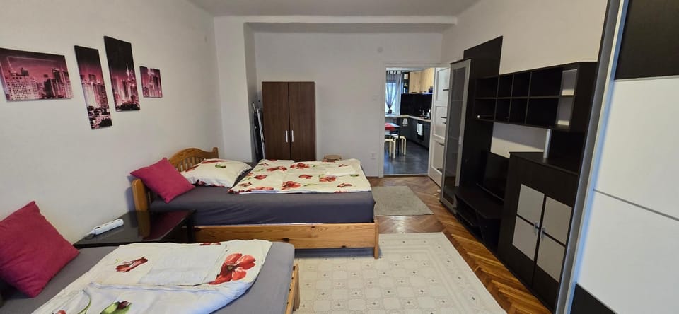 Tisza-parti Napfény Apartman Apartment in Szeged