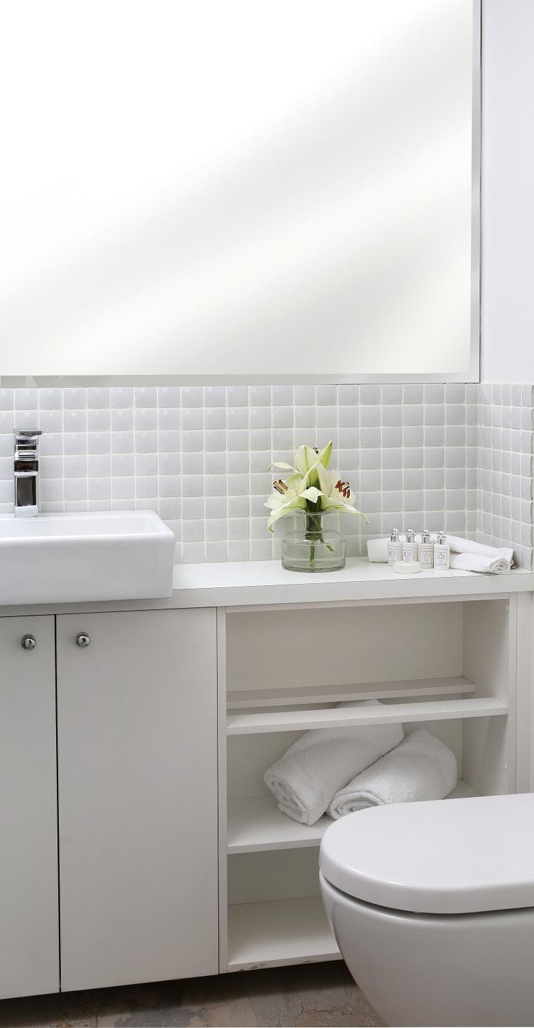 Shower, Toilet
