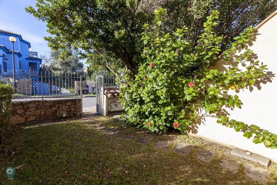 Property building, Facade/entrance, Garden