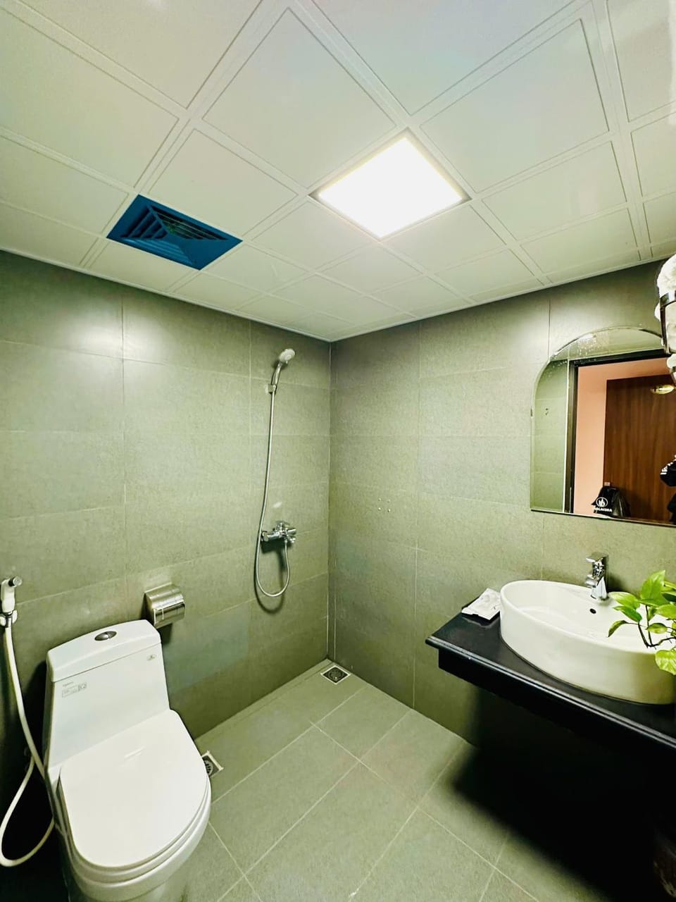 Shower, Toilet, Bathroom, towels