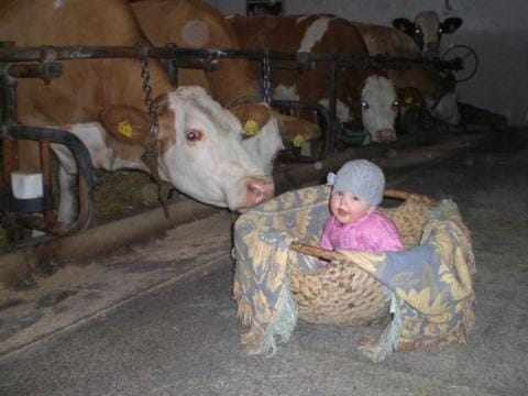 Öderbauer-Hof Farm Stay in Berchtesgadener Land