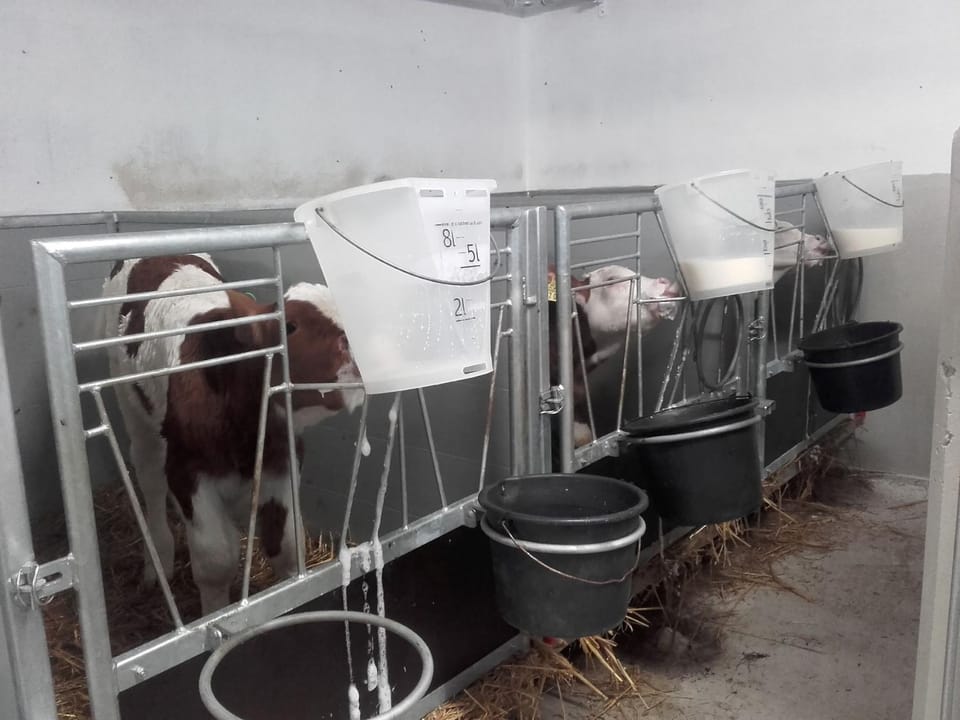 Öderbauer-Hof Farm Stay in Berchtesgadener Land