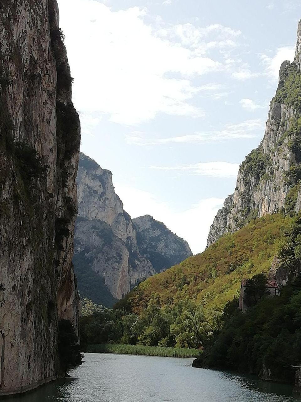 Natural landscape, Hiking, Animals, Mountain view