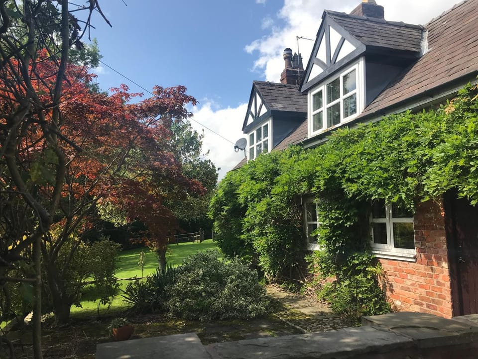 Day, Summer, Garden