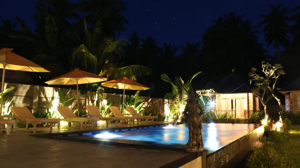 Night, Natural landscape, Garden, Garden view, Pool view, Swimming pool