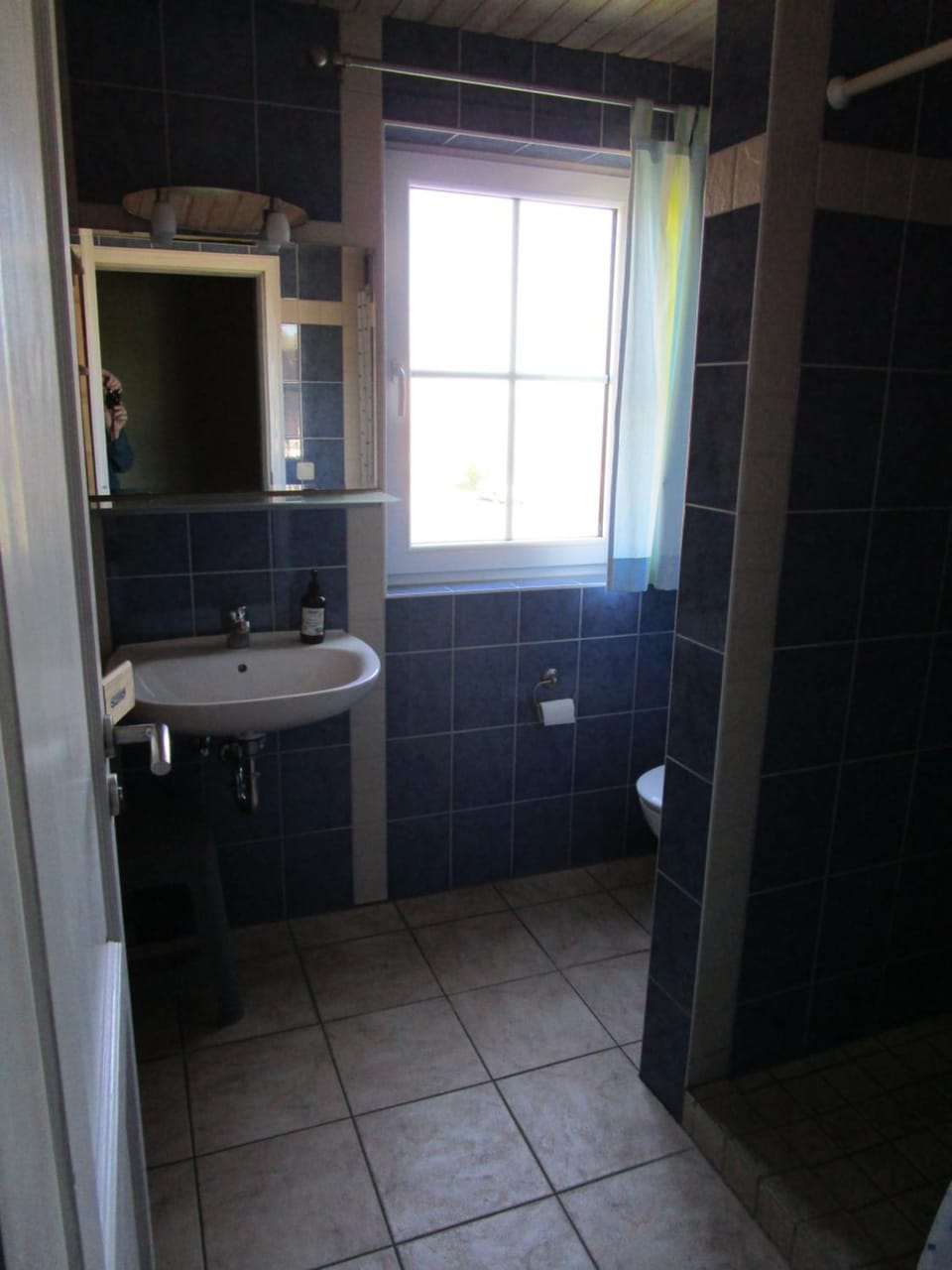 Ferienhaus Sanddorn mit eigener Sauna Apartment in Mecklenburg-Vorpommern, Germany