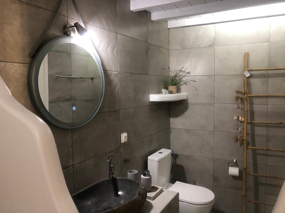 Shower, Toilet