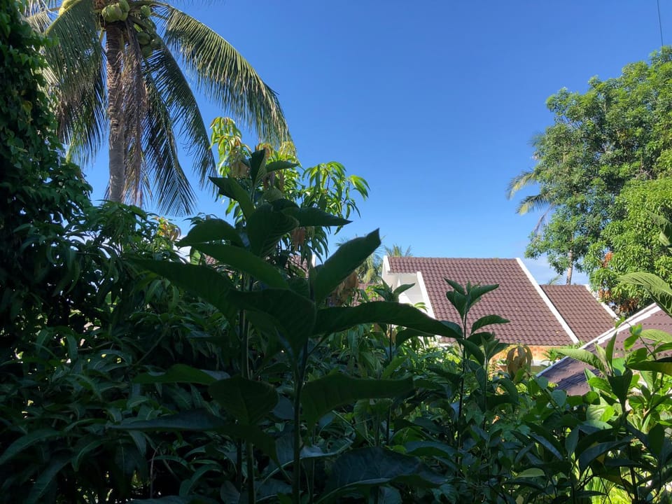 Hoàng Ngọc's House Hotel in Vietnam