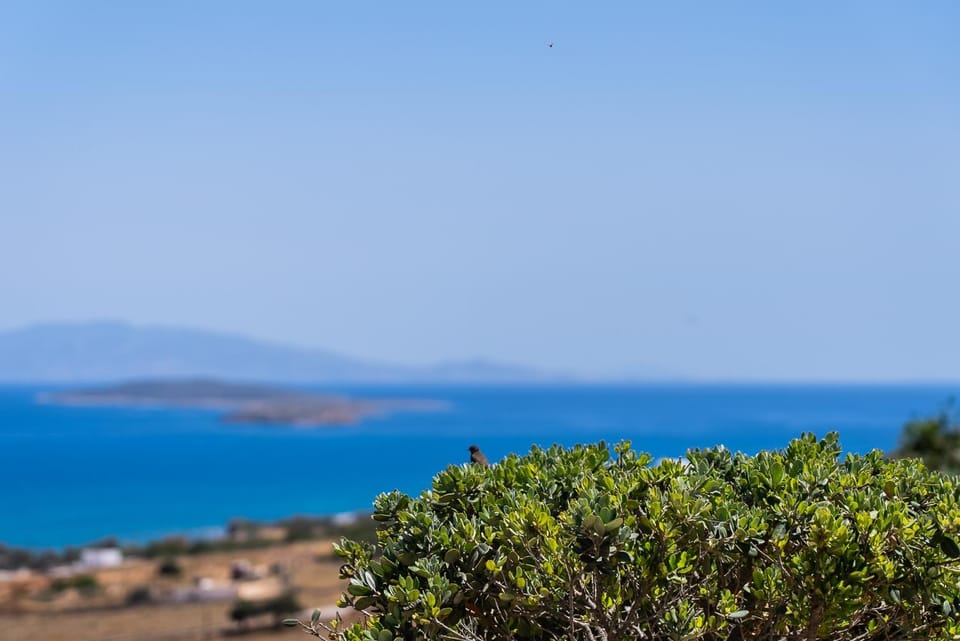 Natural landscape