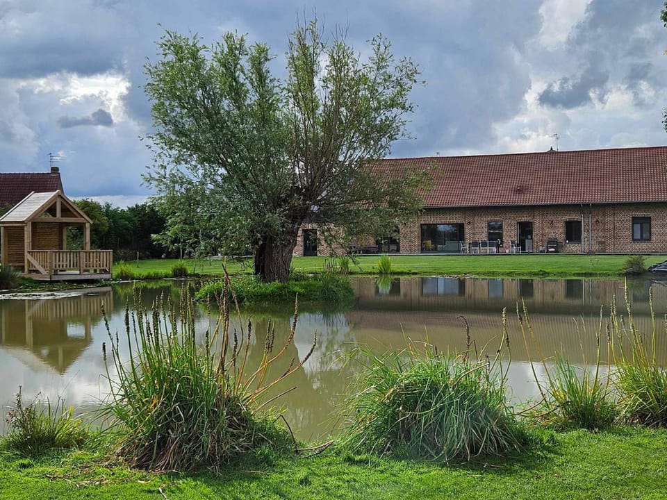 Gite lapins House in Hauts-de-France